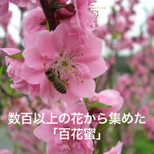 画像をギャラリービューアに読み込む, ニホンミツバチのハチミツ (京都府産)【300g】