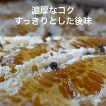 画像をギャラリービューアに読み込む, ニホンミツバチのハチミツ (京都府産)【300g】