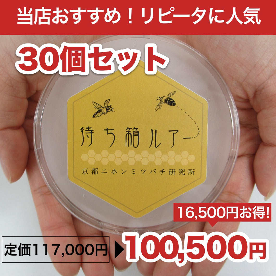 待ち箱ルアー 30個セット